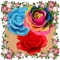 Rose Garden