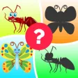 Insects World Puzzles