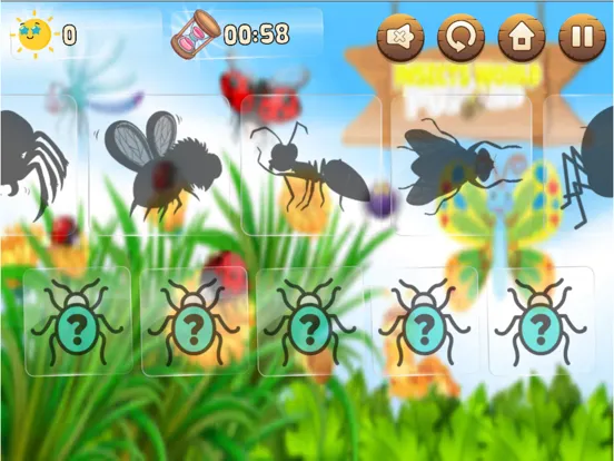 Insects World Puzzles iPad 应用截图