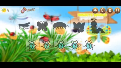 Insects World Puzzles应用截图
