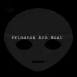 Primates Are Real