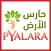 حارس الأرض