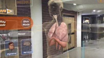 تصاویر Irusu Human Anatomy