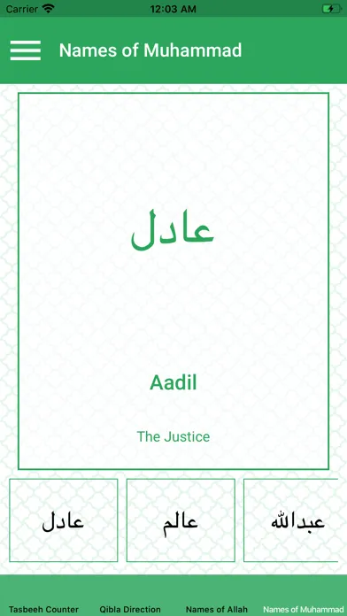 Islamic Quiz & Tasbeeh counter应用截图