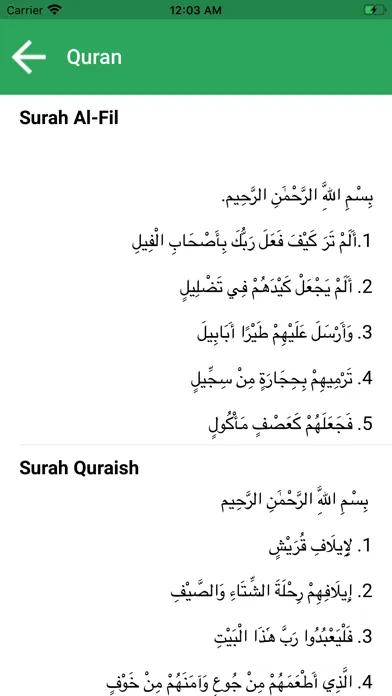 Islamic Quiz & Tasbeeh counter应用截图