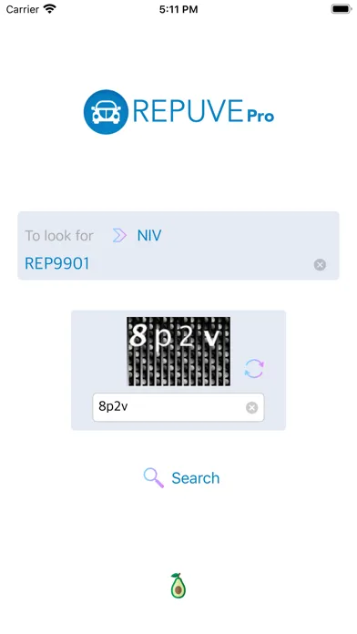 تصاویر Repuve Pro - Check your Car