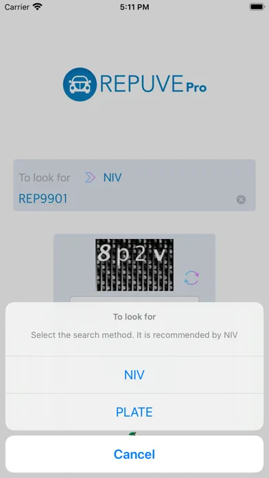 تصاویر Repuve Pro - Check your Car