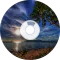 Ocean Sounds and Ringtones