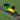 Track Builder