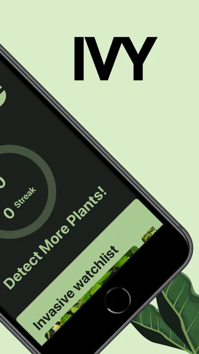 IVY - Plant Identifier Screenshots