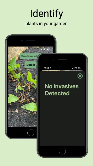 IVY - Plant Identifier Screenshots