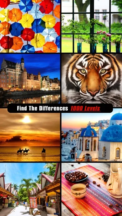 Spot The Difference Puzzle স্ক্রিনশট