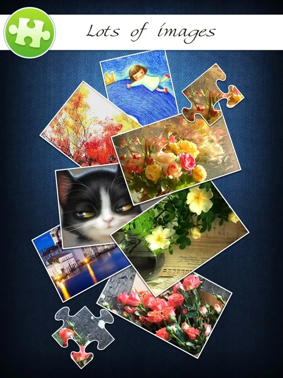 Jigsaw Puzzle Pro+ iPad  Screenshots