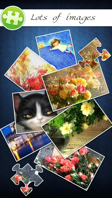 Jigsaw Puzzle Pro+ Screenshots