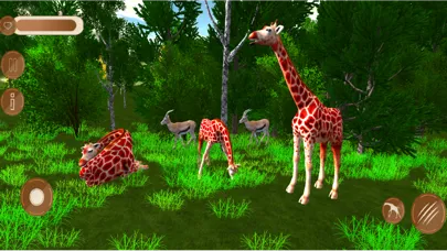 Wildlife Giraffe Safari Game应用截图