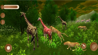 Wildlife Giraffe Safari Game应用截图