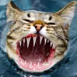 Real or Fake: Photoshopped Pic