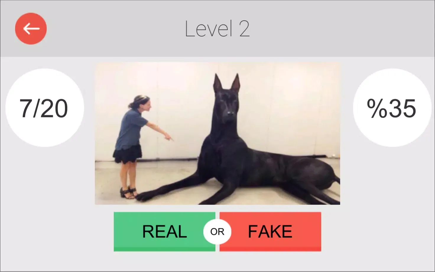Real or Fake: Photoshopped Pic 스크린샷