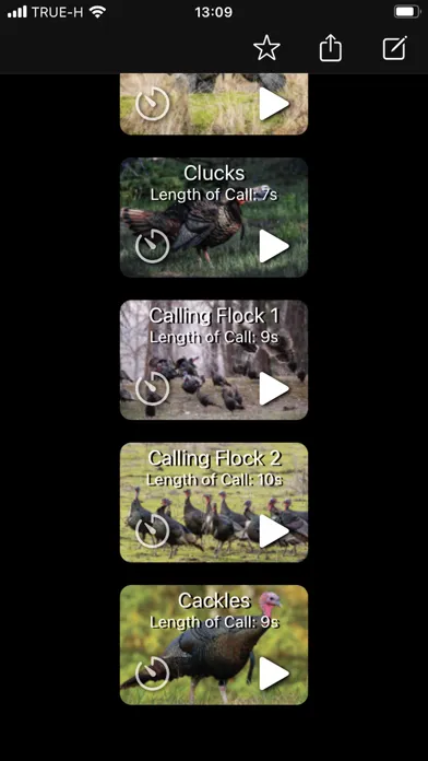Turkey Calls App Screenshots