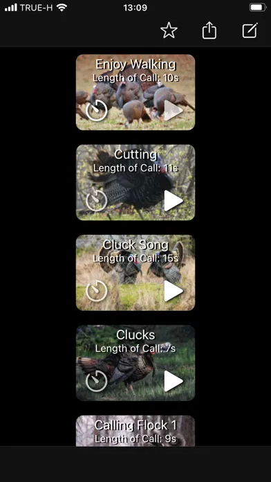 Turkey Calls App Screenshots