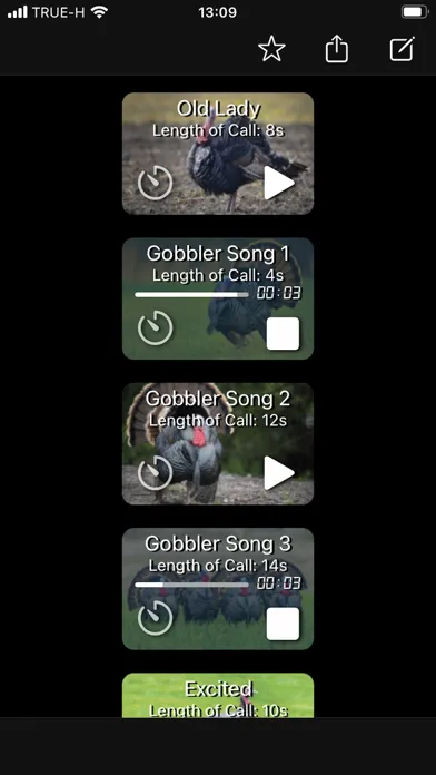 Turkey Calls App Screenshots