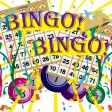 BINGO!BINGO!