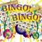 BINGO!BINGO!