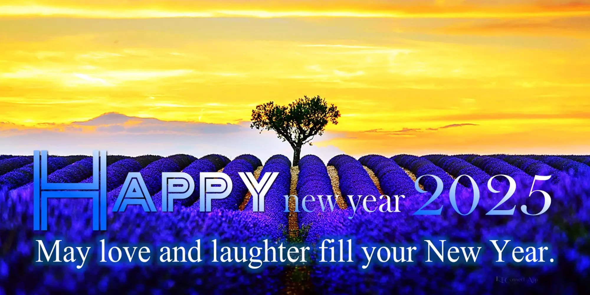 Tangkapan layar Happy new year 2025 Cards