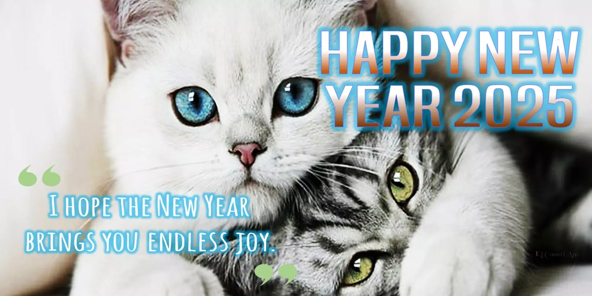 Tangkapan layar Happy new year 2025 Cards