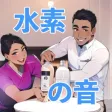 Hydrogen Voice H2