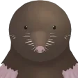 CritterCollect