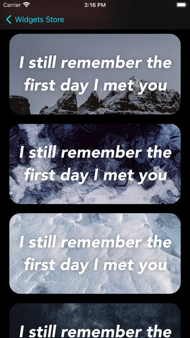 Screenshot di Widgets Store: Screen themes