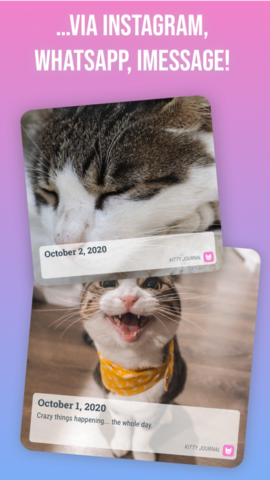 Kitty Journal - Your Cat Diary应用截图