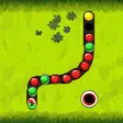 Ball Line Shoot Puzzle Games