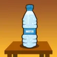 Crazy Bottle Flip Pro 2k17