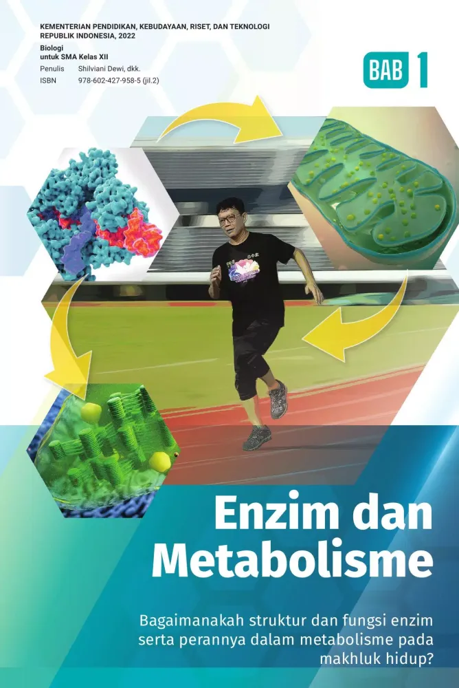 Biologi SMA Kelas 12 Merdeka应用截图