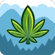 Bud Farm: Quest for Buds