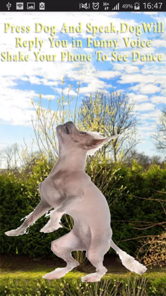 Captures d'écran de Talking-Dancing Dog
