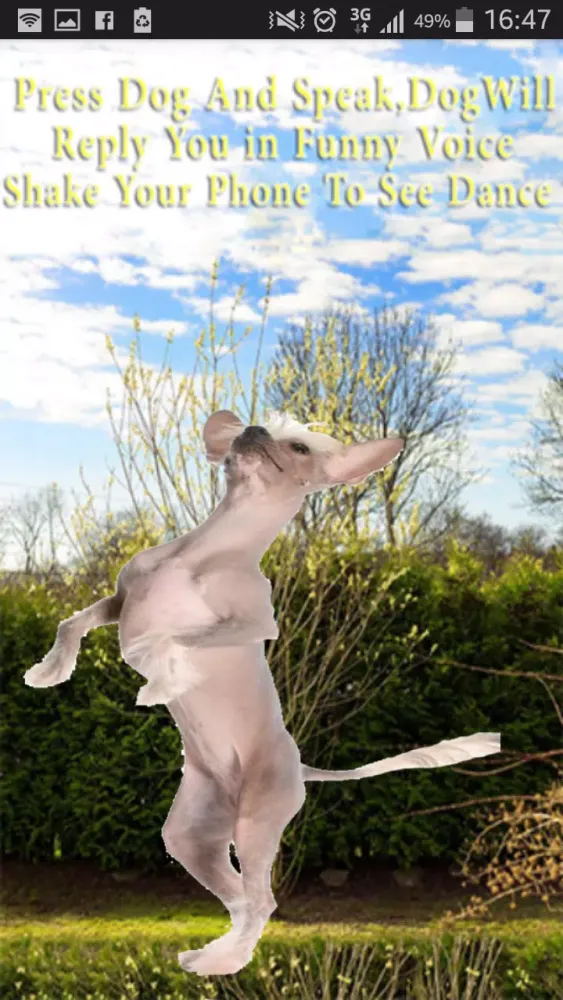 Captures d'écran de Talking-Dancing Dog
