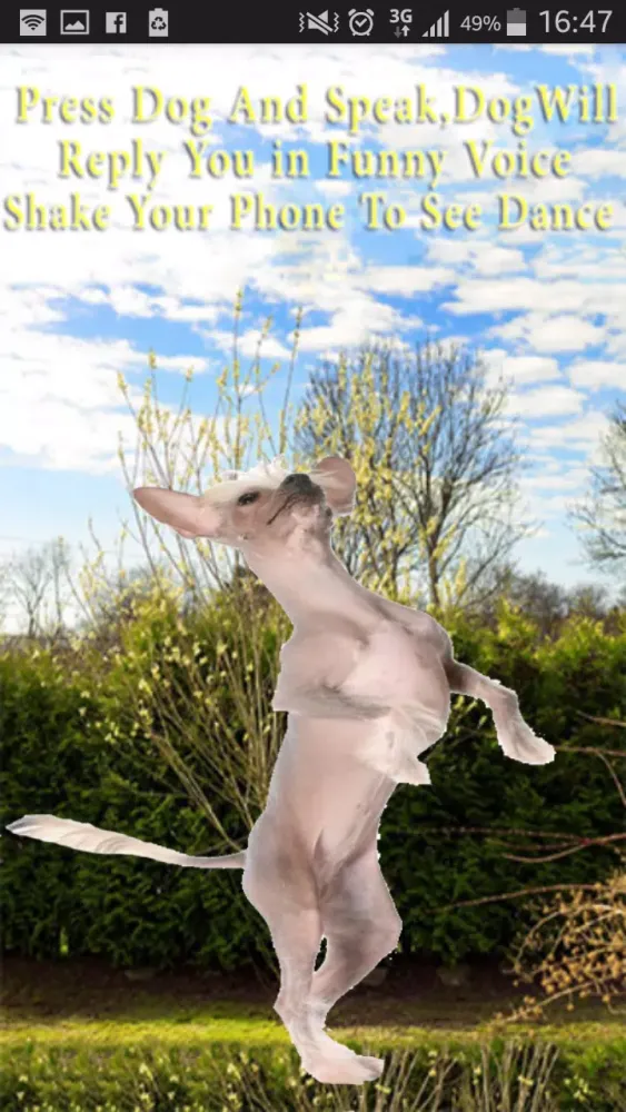 Captures d'écran de Talking-Dancing Dog