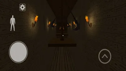 Curse of Anubis - Scary Chase应用截图