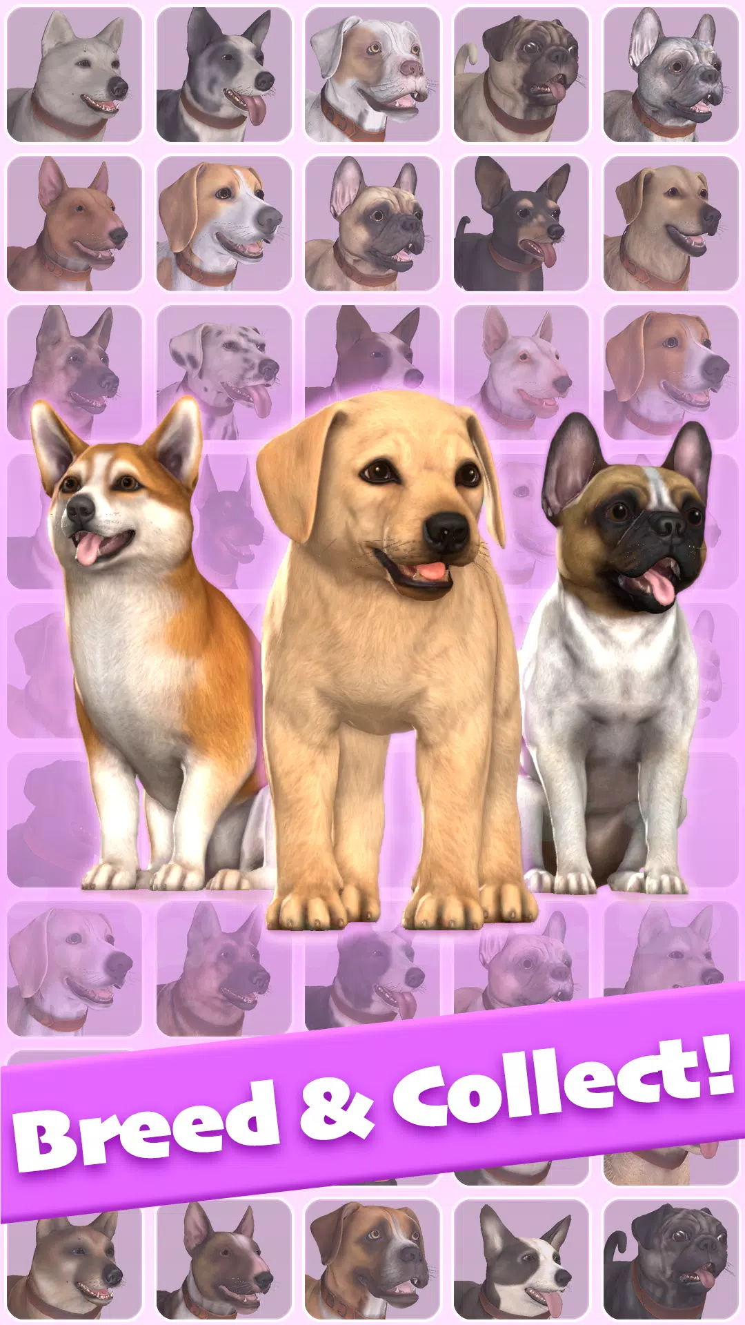 Pocket Paws Screenshots1