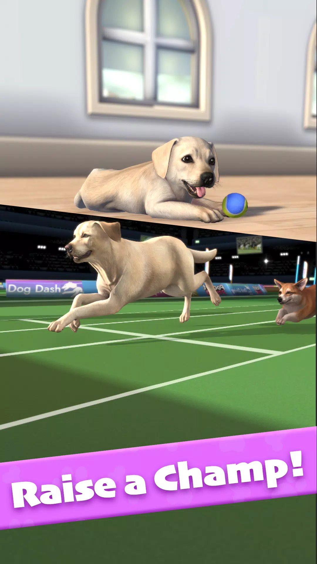 Pocket Paws Screenshots2