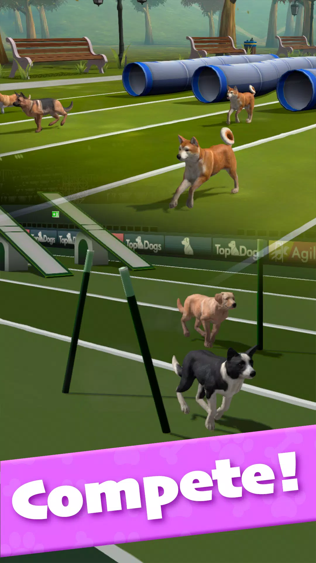 Pocket Paws Screenshots4