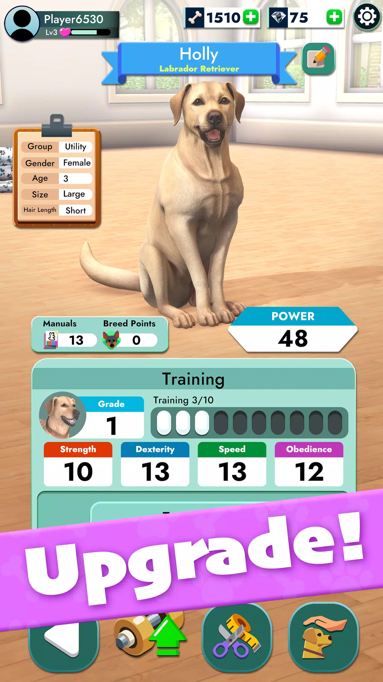 Pocket Paws Screenshots5