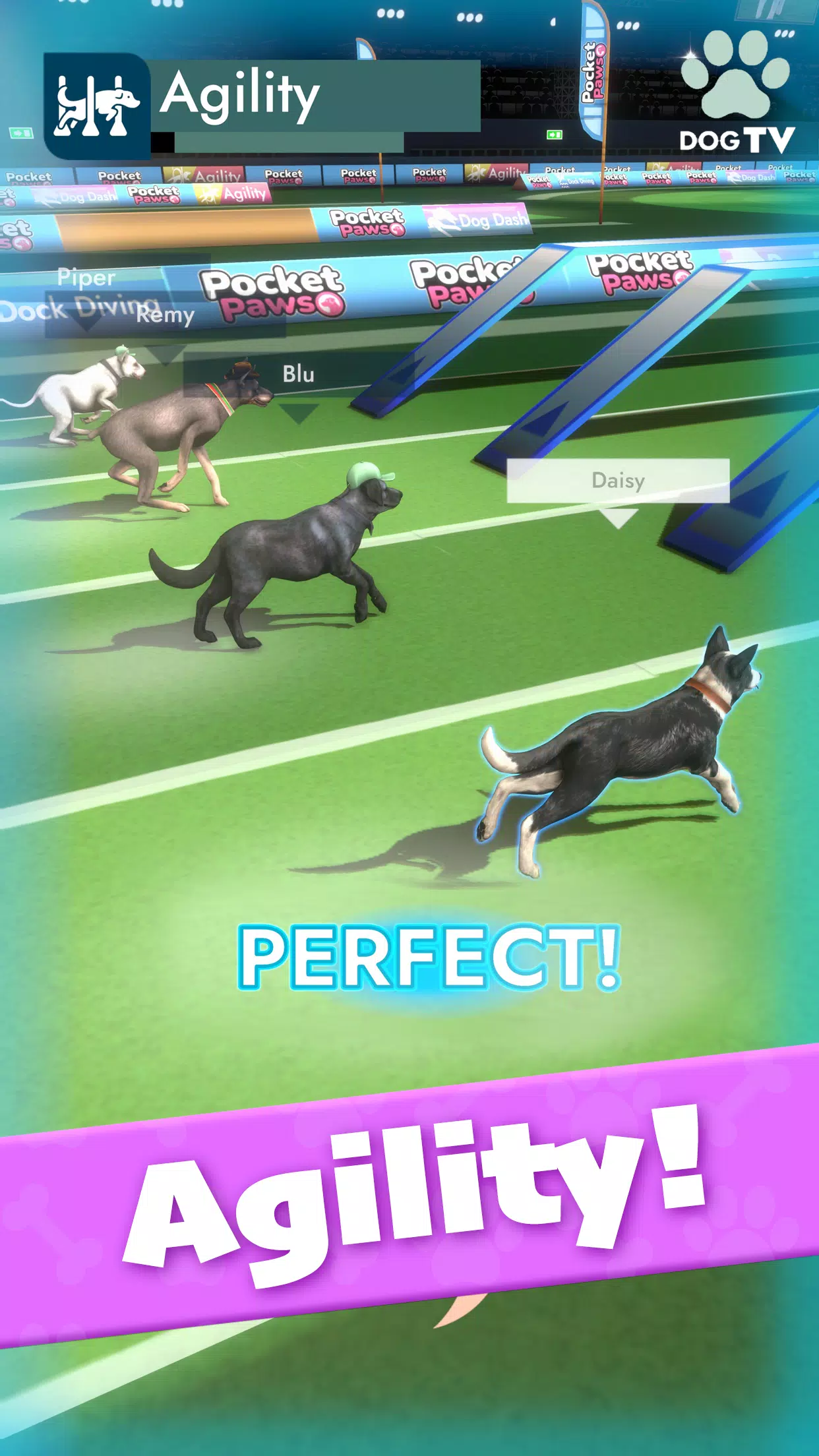 Pocket Paws Screenshots6