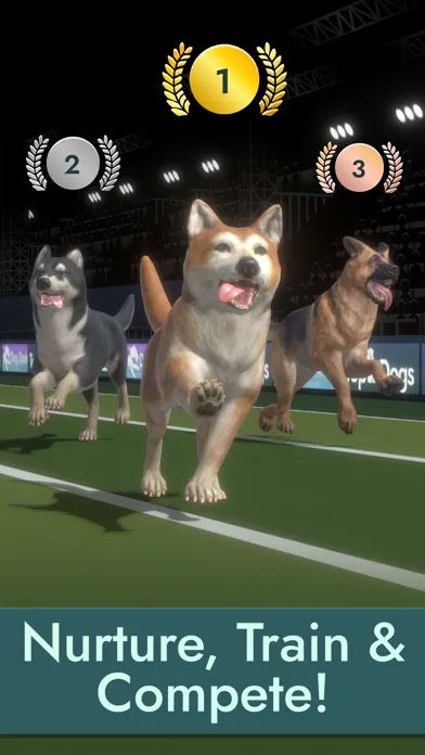 صور Pocket Paws: Dog Champions