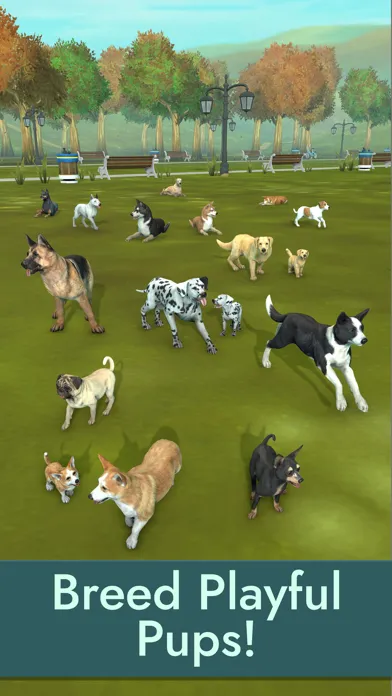 صور Pocket Paws: Dog Champions