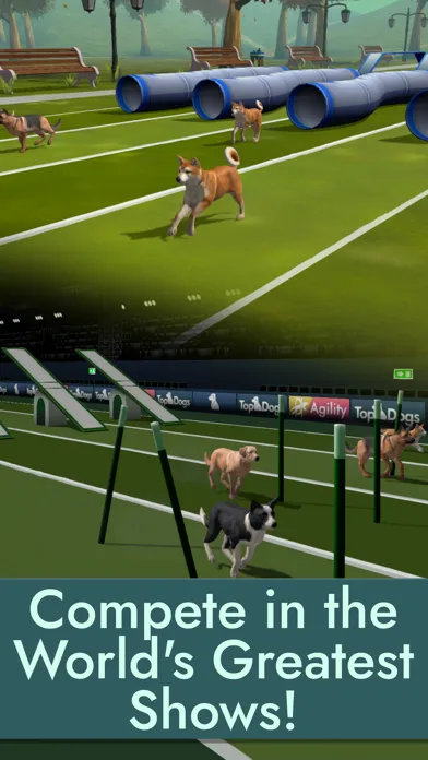 صور Pocket Paws: Dog Champions