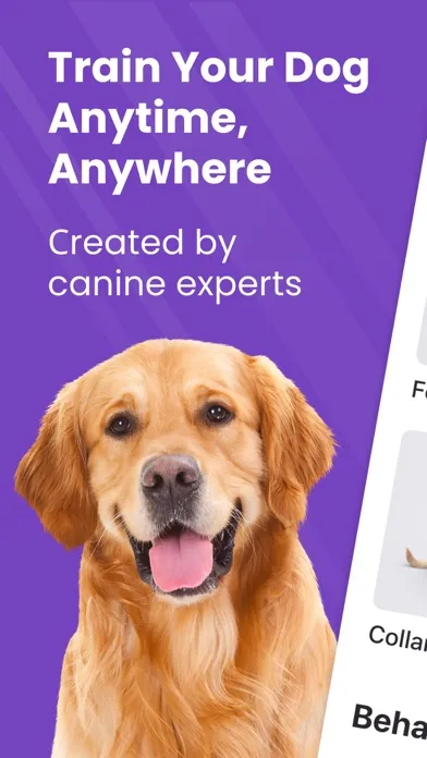 Captures d'écran de GoDog: Puppy & Dog Training